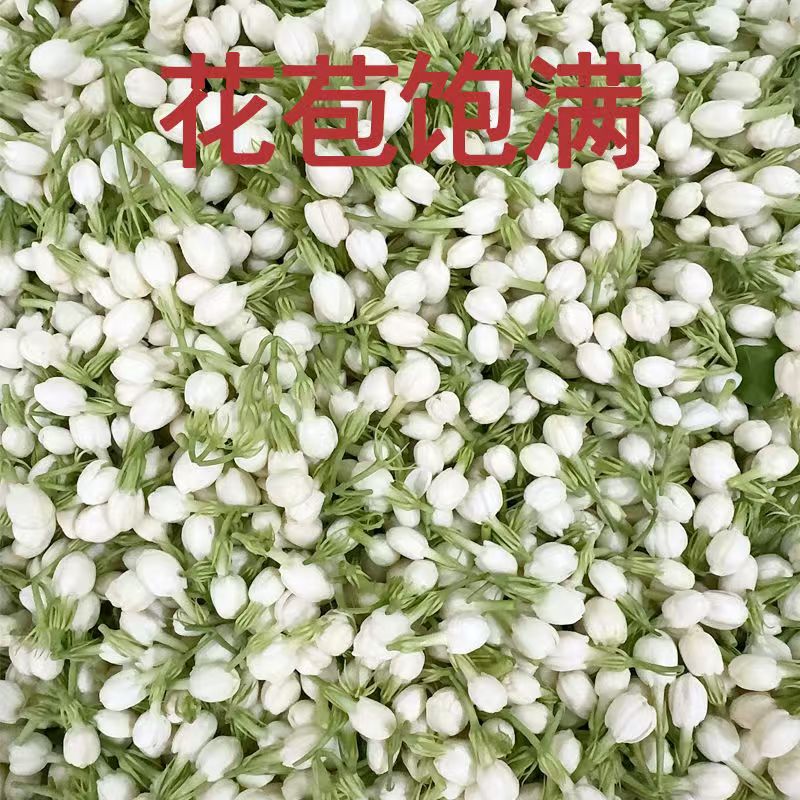 New Natural 100g Jasmine Dried - огляд і ціна Soap Making Raw Material